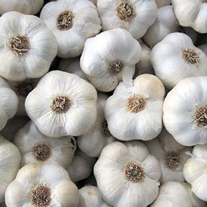 ail blanc IGP de la Drôme