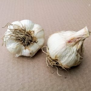 Ail bio 50/70 Brut